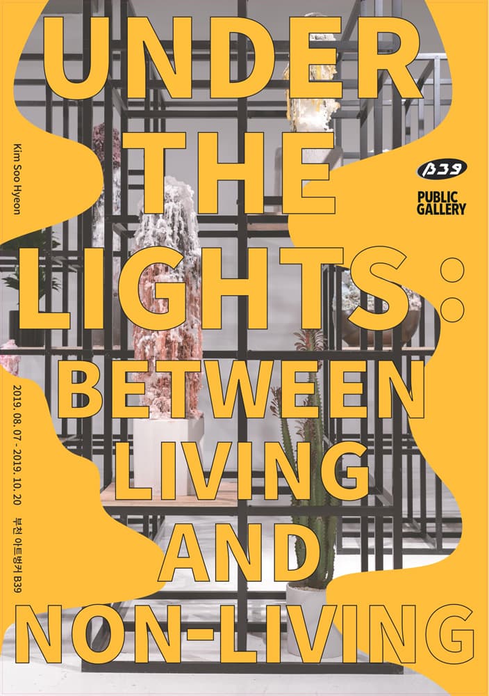 김수현 개인전 Under the Lights: Between Living and Non-Living 1
