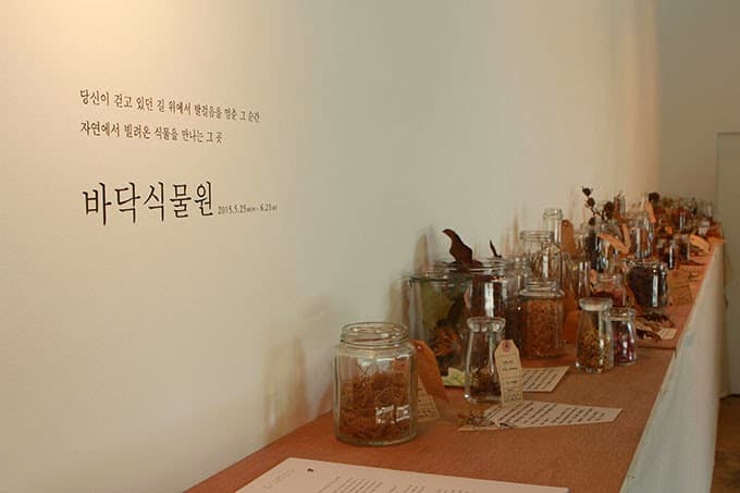 바닥식물원
