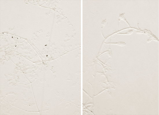 Hwang Yunju_숨어있는 꽃_바이칼, 러시아_50x35.5cm(ea) 2014
