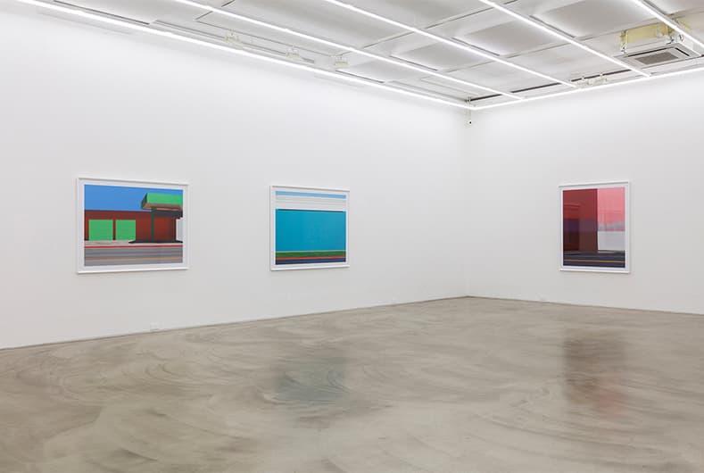 Installation view of Philosophizing the Landscape, Gallery Simon, 2017