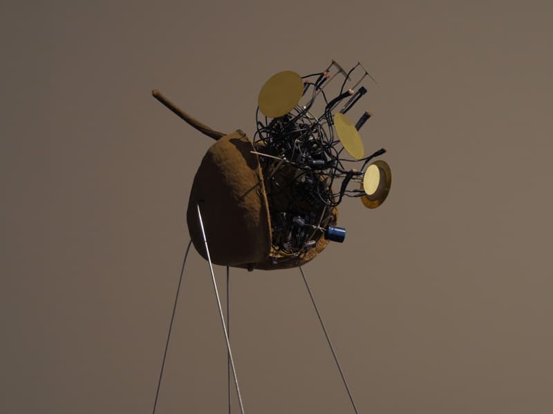 oana Vreme Moser, Zurkubuk, Nux Stridens, Sound Object, 2018 이오아나 브레메 모저, Zurkubuk, Nux Stridens, 사운드 오브제, 2018