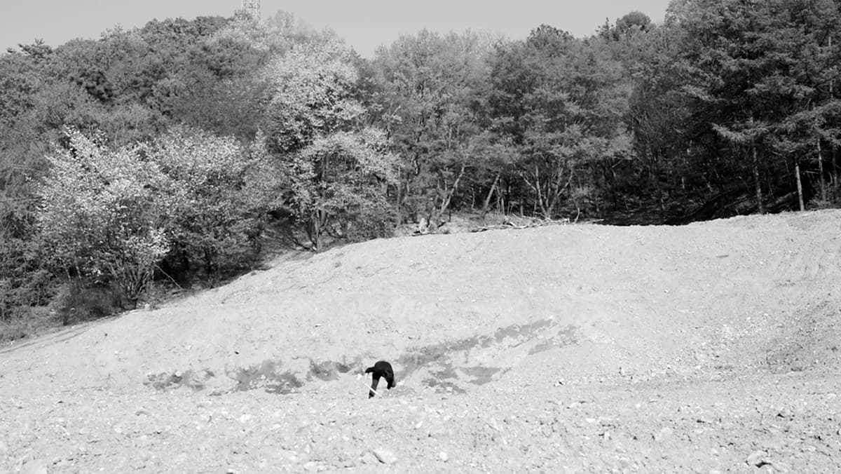 권도연 / The art of shovel / 2015 / 비디오 도큐멘테이션 / 08’ 05’’