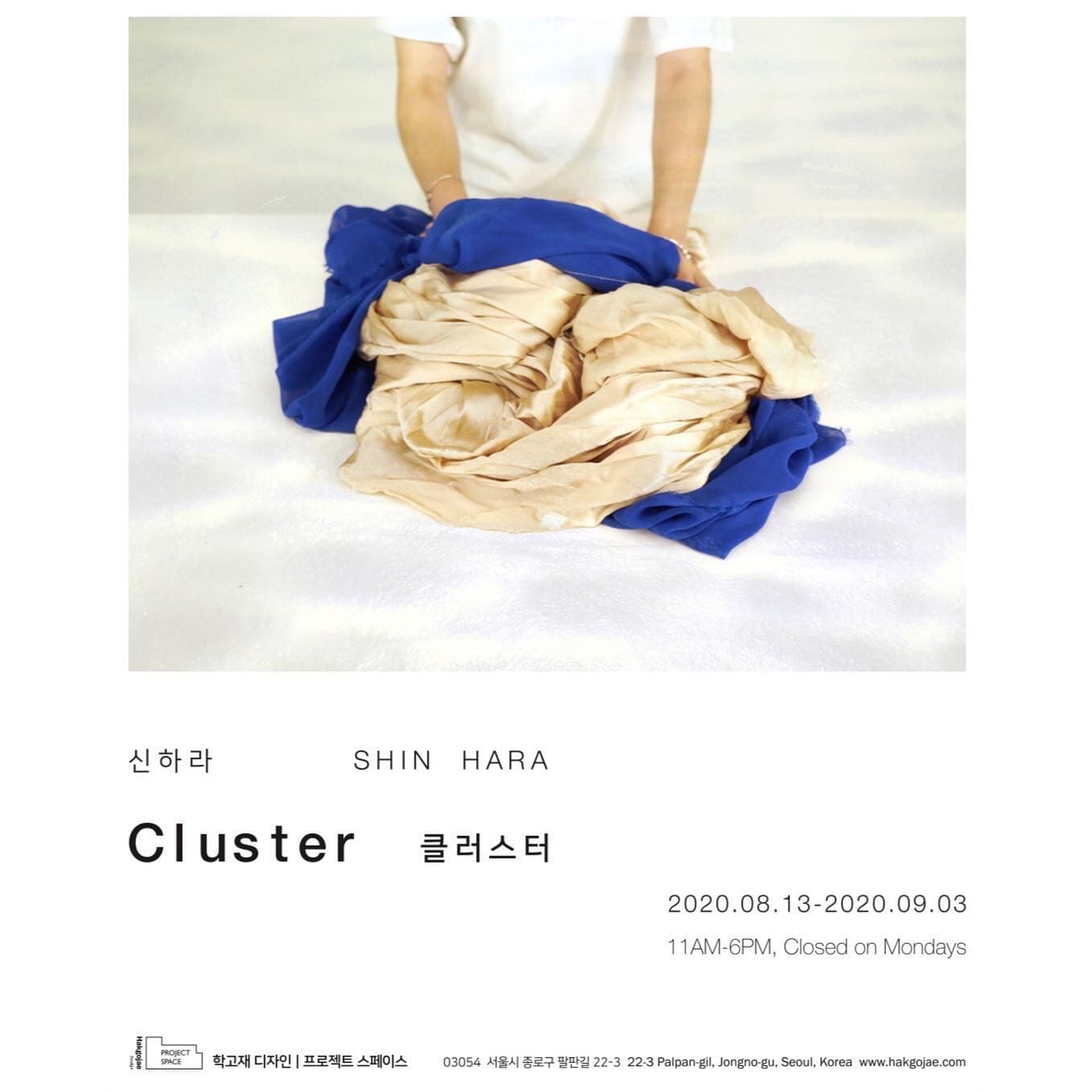 신하라 개인전 : 클러스터 SHIN Hara : Cluster 1
