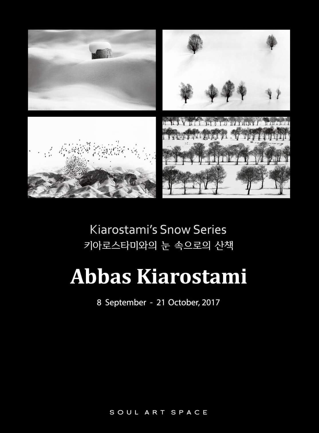 Kiarostami's Snow Series - 키아로스타미와의 눈 속으로의 산책 1
