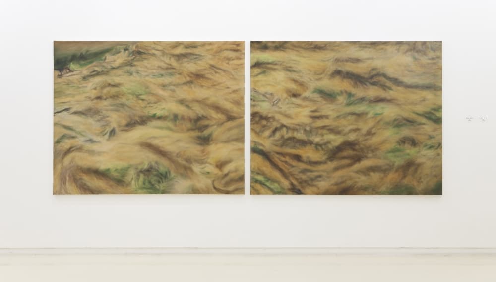 관청리 덤불, Oil on Canvas, 130x162cm, 130x, 2010