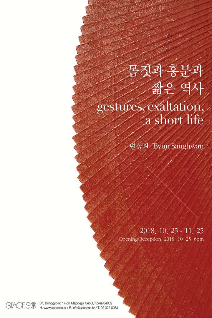 변상환 개인전 : 몸짓과 흥분과 짧은 역사 Byun Sanghwan : gestures, exaltation, a short life 1