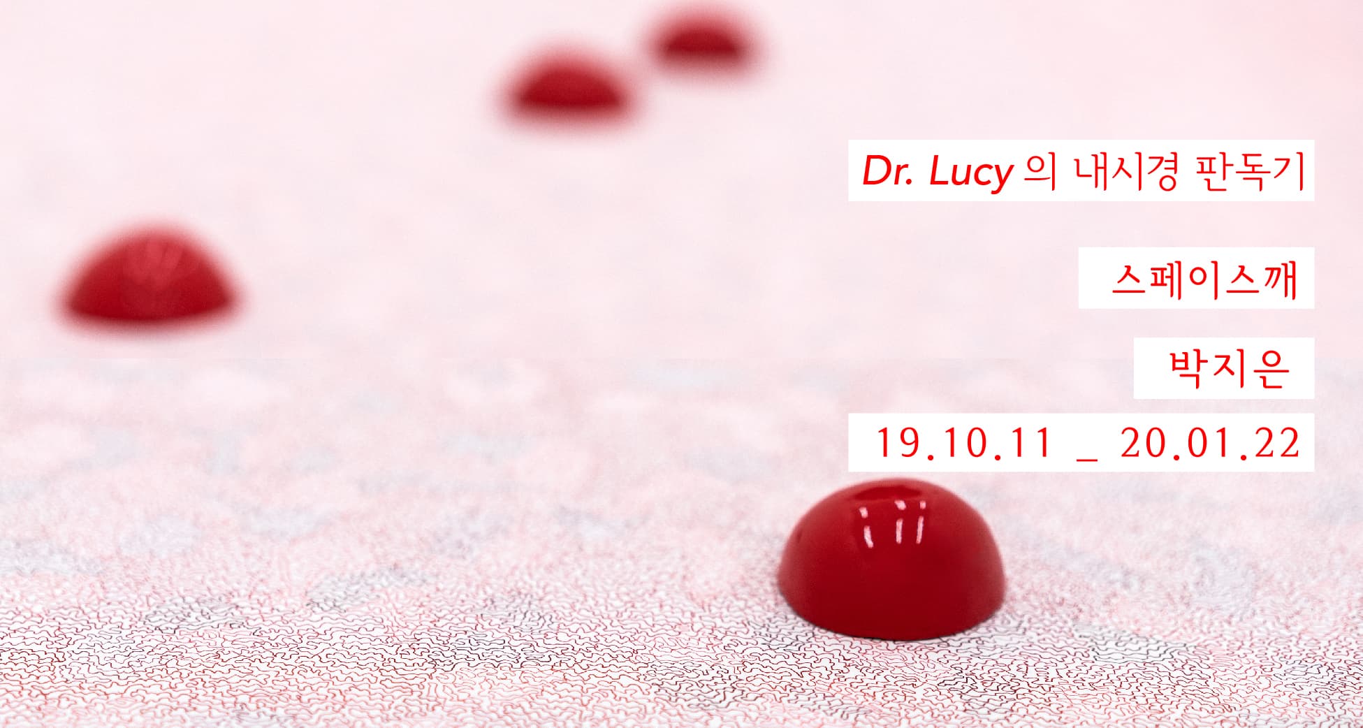 박지은 개인전 : Dr.Lucy의 내시경 판독기 1