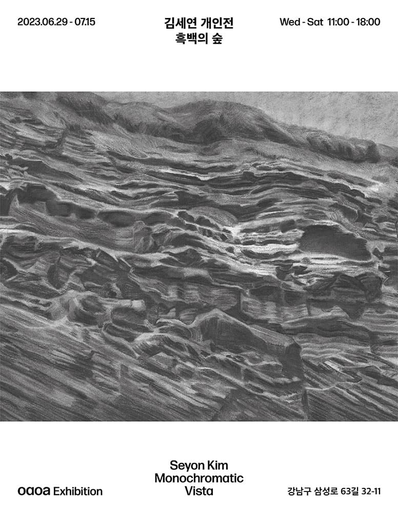 김세연 개인전: 흑백의 숲 Monochromatic Vista 1