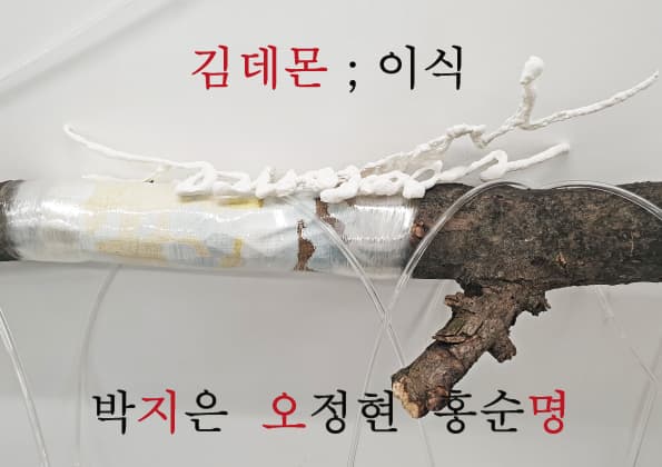 김데몬 ; 이식 1