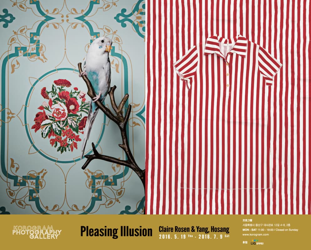 Claire Rosen & Yang, Hosang 2인전 : Pleasing Illusion