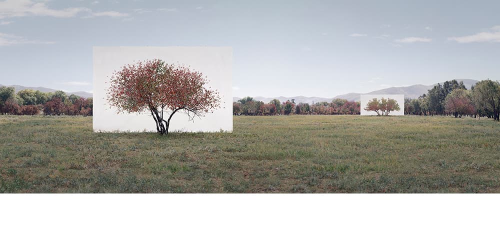 이명호, Tree... #7, 2015, Ink on Paper, 78 x 162cm
