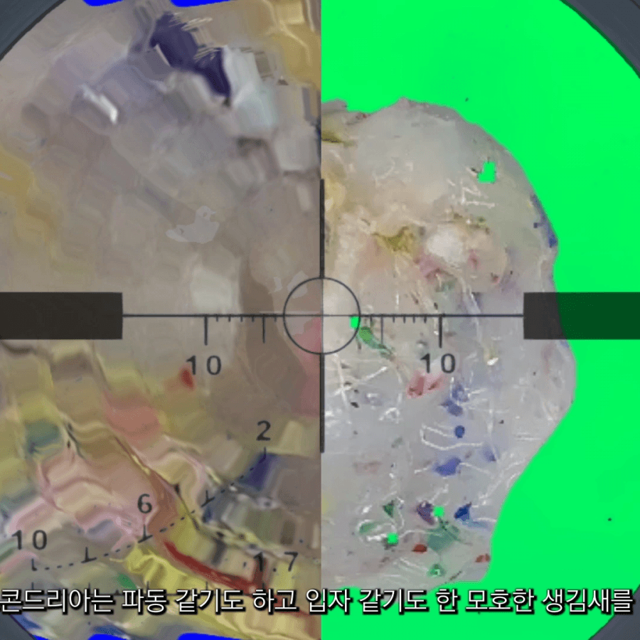 한수지: 비트콘드리아 1