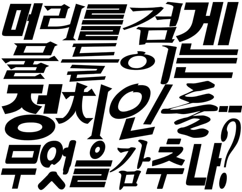 장영혜중공업, <머리를 검게 물들이는 정치인들 -- 무엇을 감추나?> YOUNG-HAE CHANG HEAVY INDUSTRIES, POLITICIANS WHO DYE THEIR HAIR -- WHAT ARE THEY HIDING? 2016 Image of banner