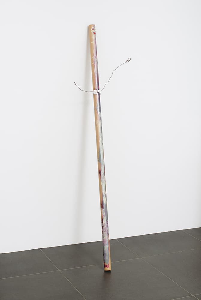 가늘지만 꿋꿋한 친구