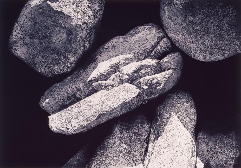 이영애, 부유하는 삶, 2003, 아쿼틴트, 메조틴트, 116×167cm, 110, 국립현대미술관 소장