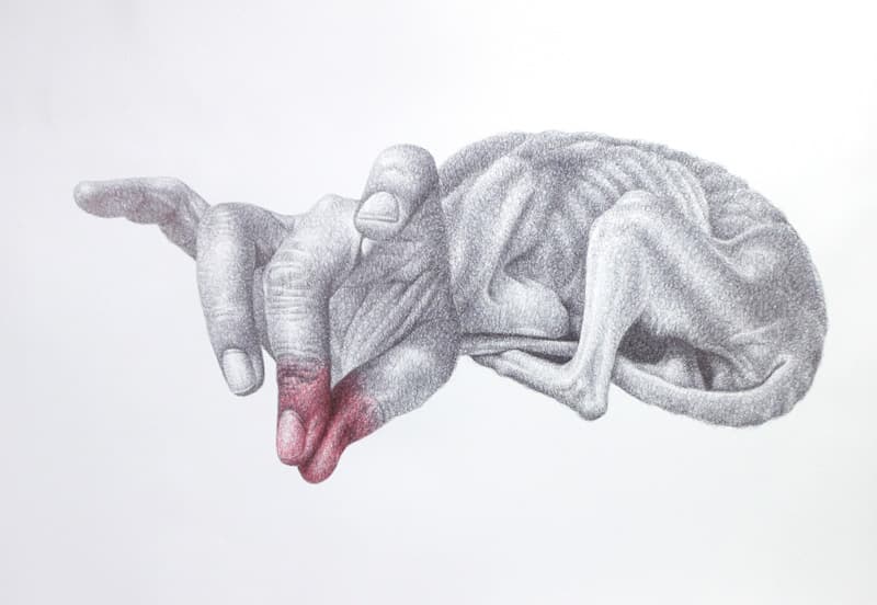 박승예, Handog-5_종이에 펜_80 x 110cm _2016