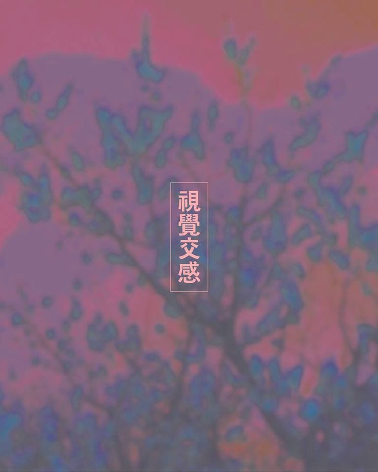 2015 청주시립대청호미술관 초대전 : 시각의 교감