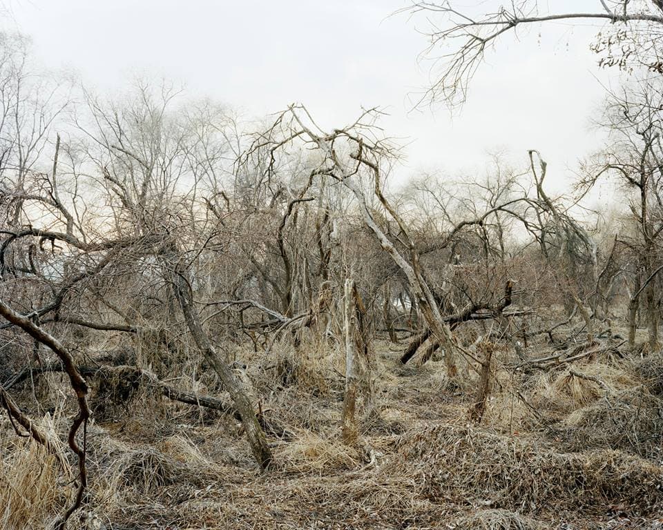 Untitled 001, 2015 Pigment print 160 x 200cm