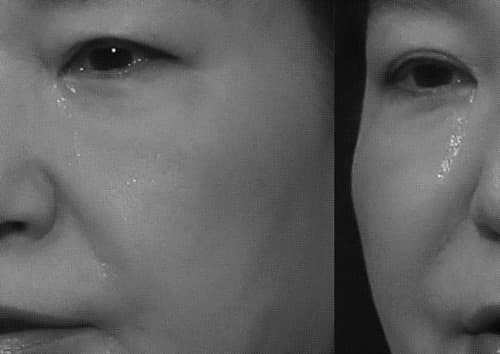 박창규 개인전 : 이중생활 A DOUBLE LIFE OF UNDERDOG 1