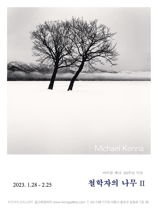 마이클 케나 50주년 기념, 철학자의 나무II 1