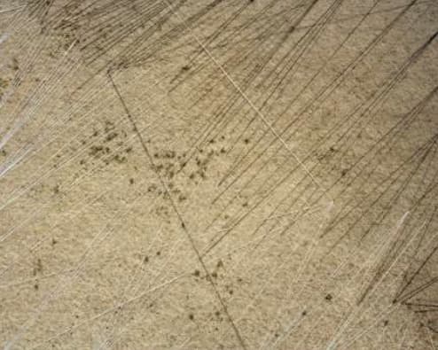 박형렬, Figure Project, Earth#25, Pigment Print, 144x180cm, 2013