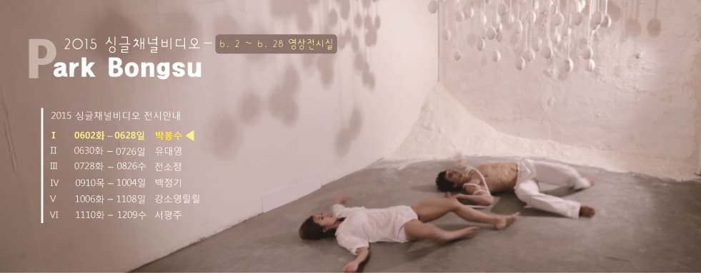2015 싱글채널비디오 : 박봉수
