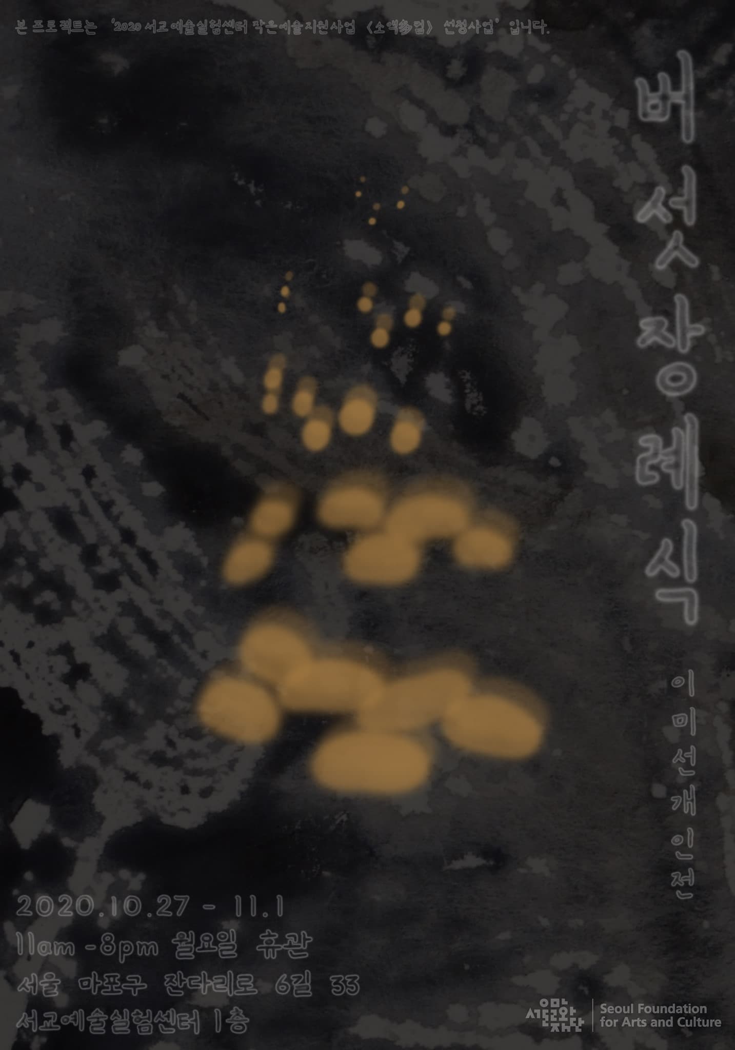 이미선 개인전 : 버섯장례식 1