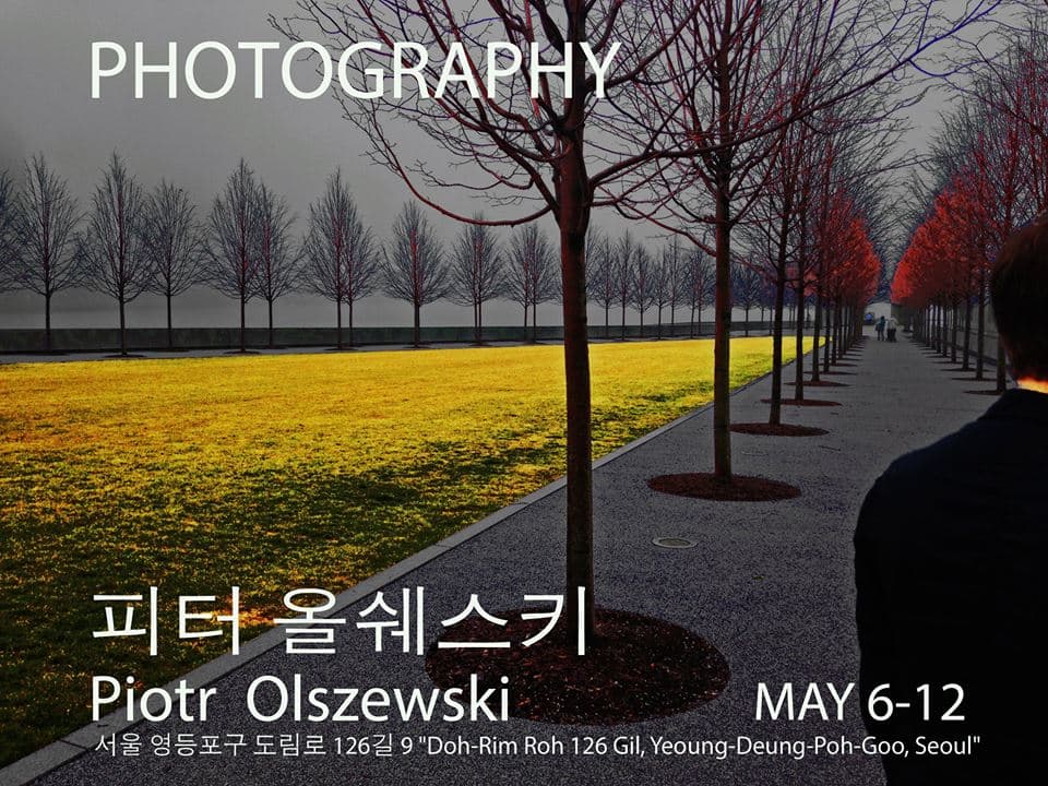 피터 올쉐스키 Piotr Olszewski : 기억의 띠 Streaks of Memory 1