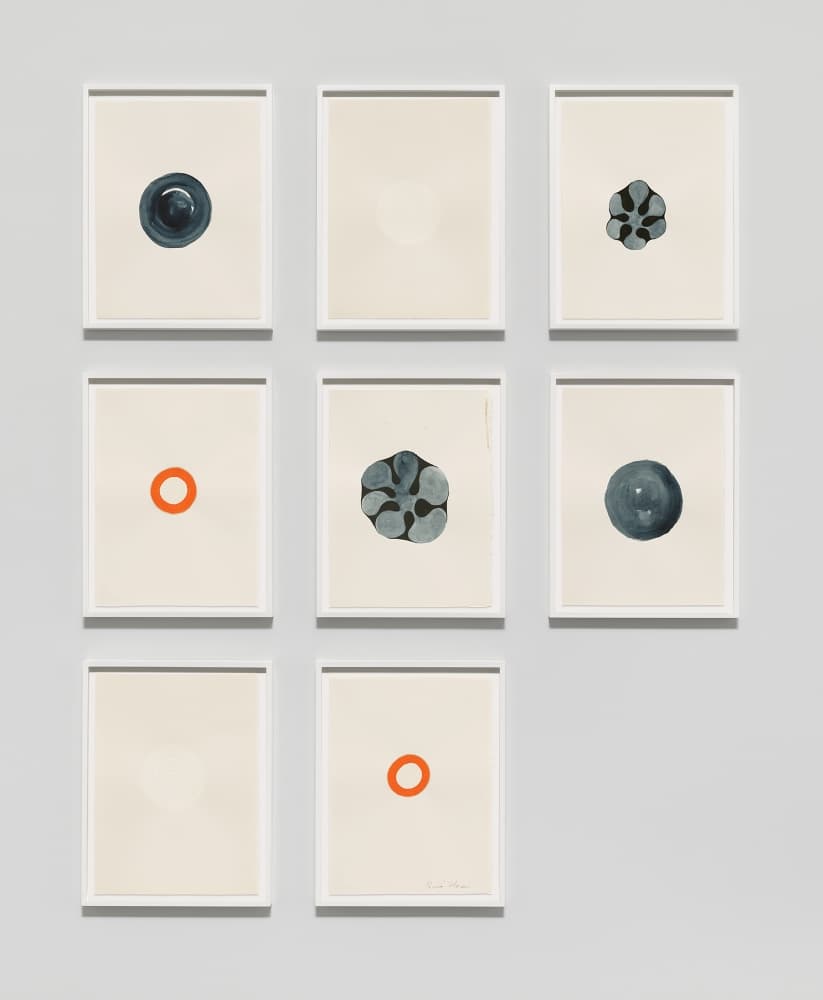 Roni Horn 1