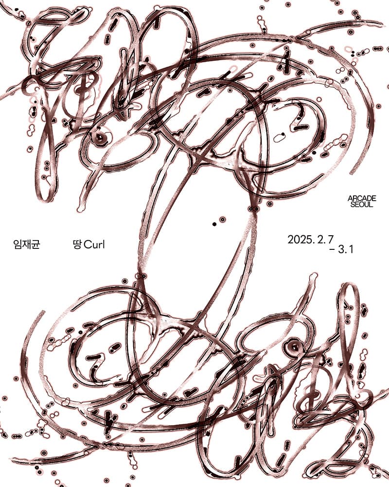 임재균: 땅 Curl 1