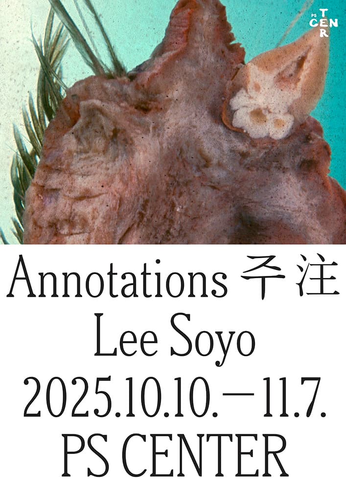 이소요 개인전: Annotations 주 注 1