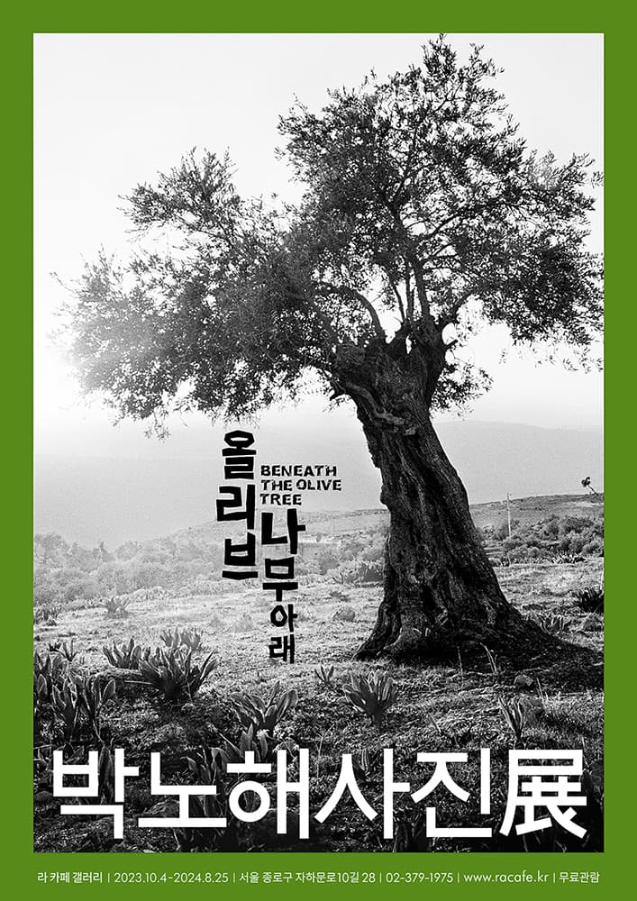 박노해 사진전: 올리브나무 아래 1