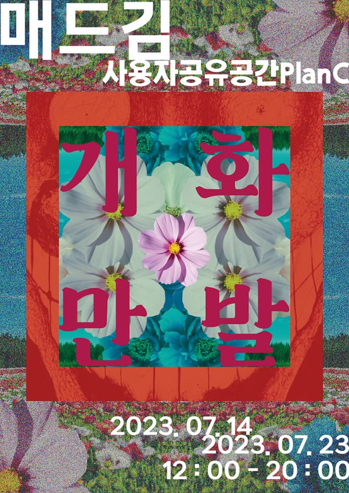 매드김 개인전: 개화, 만발 1