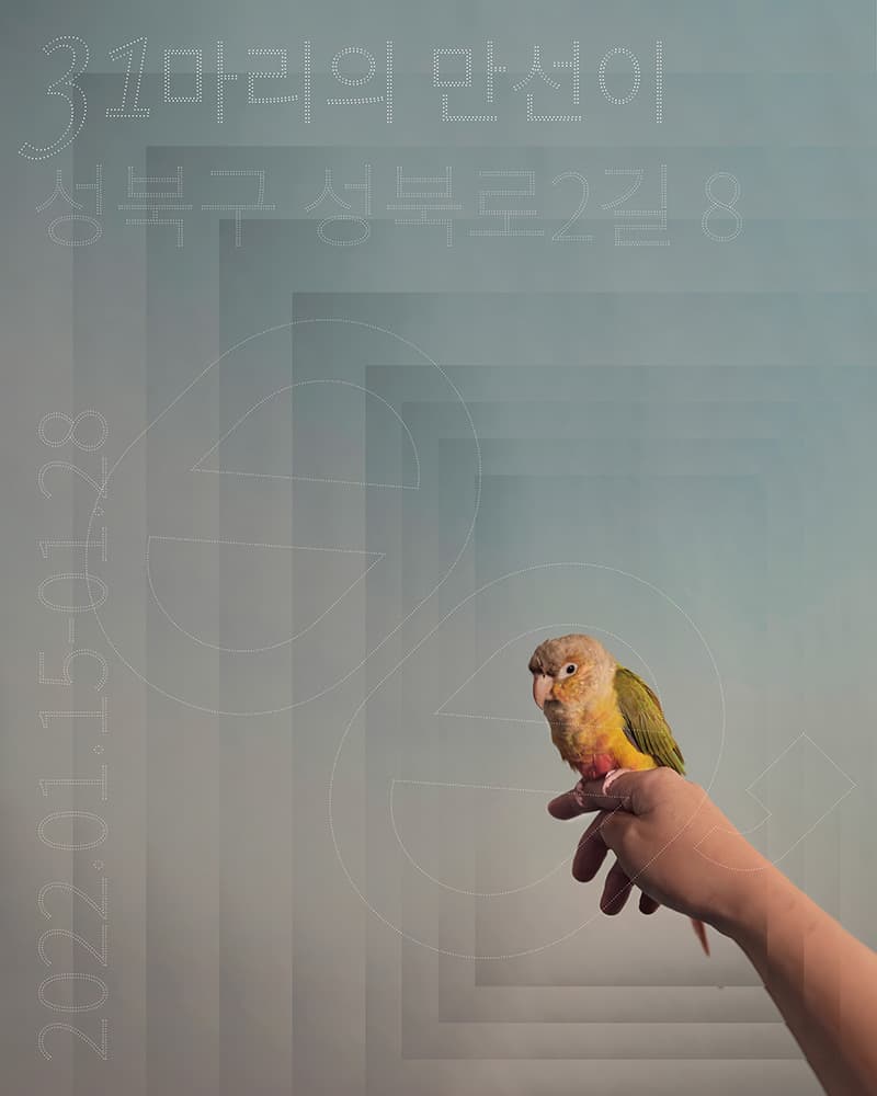 31마리의 만선이 1