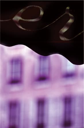 랄프 깁슨 Ralph Gibson: Salon Littéraire 1