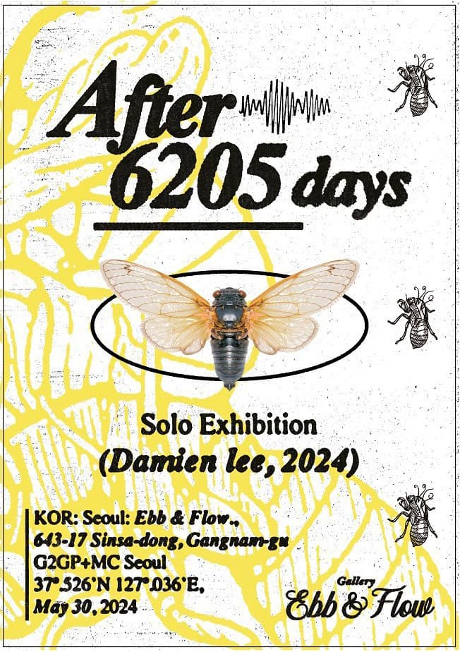 데미안리 개인전: 6,205일 후 After 6205 Days 1
