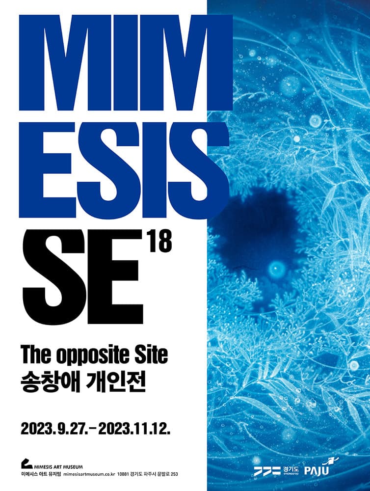 MIMESIS SE18: The opposite Site 송창애 개인전 1