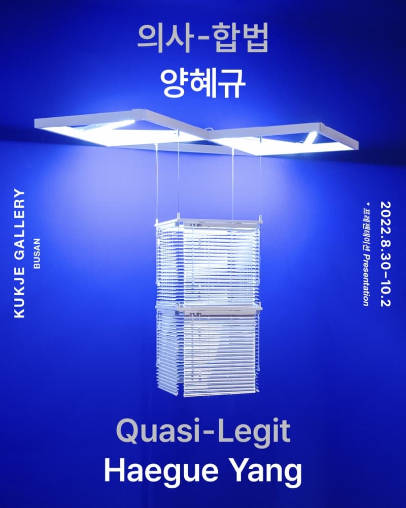 양혜규: 의사擬似-합법 / 황홀망恍惚網 1
