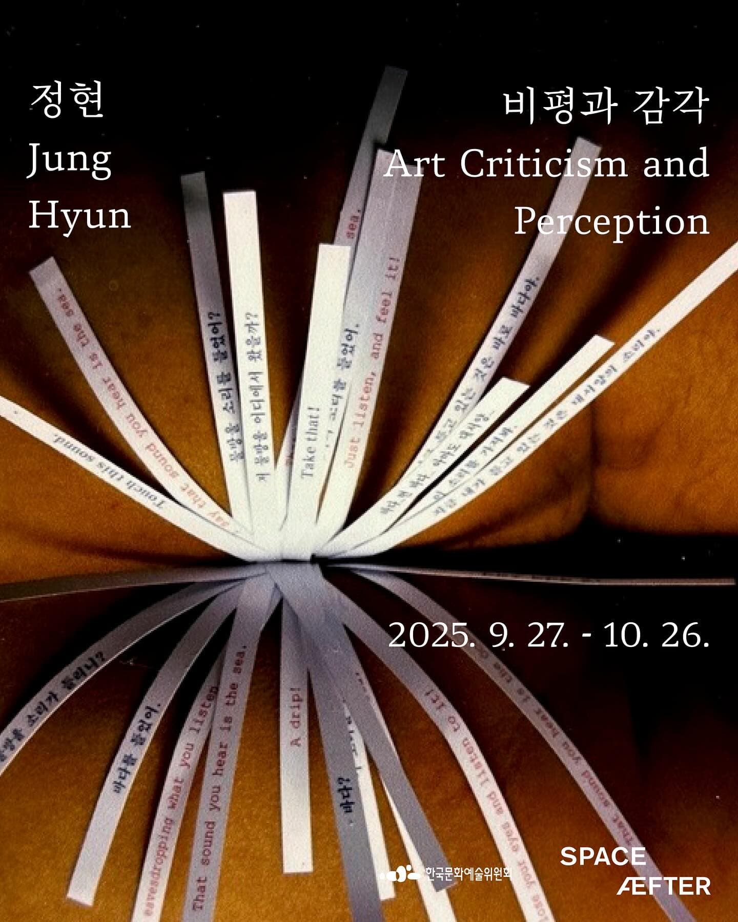 정현: 비평과 감각 Art Criticism and Perception 1