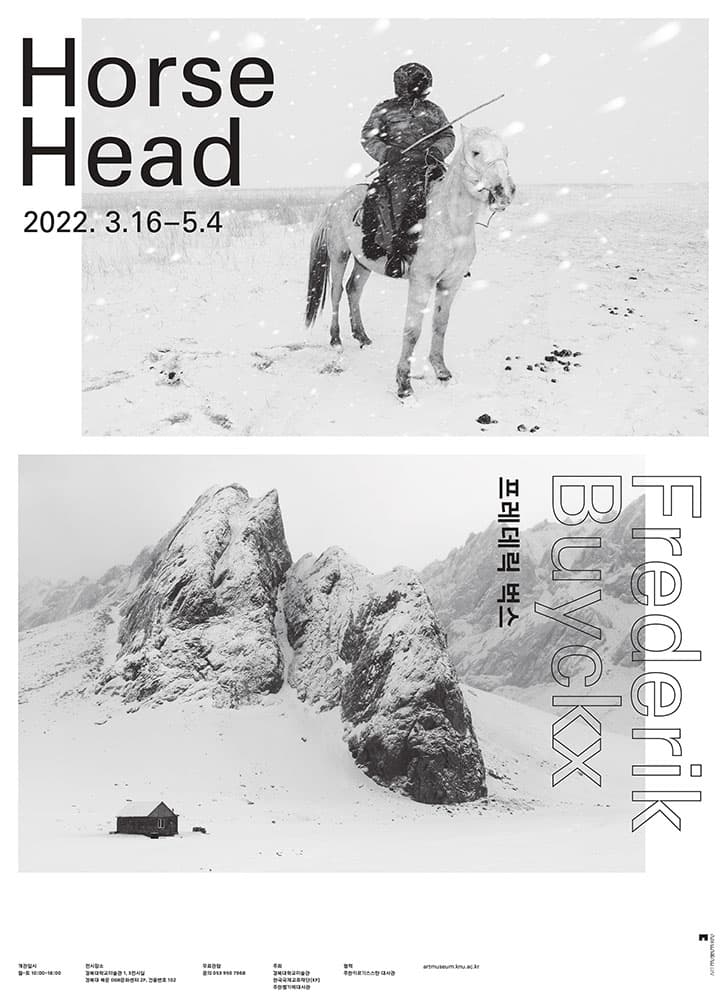 Frederik Buyckx, HORSE HEAD 1