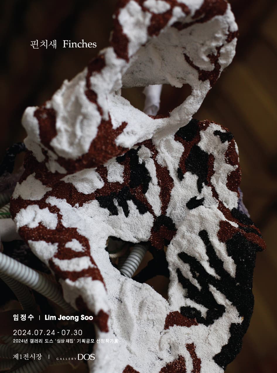 임정수: 핀치새 Finches 1