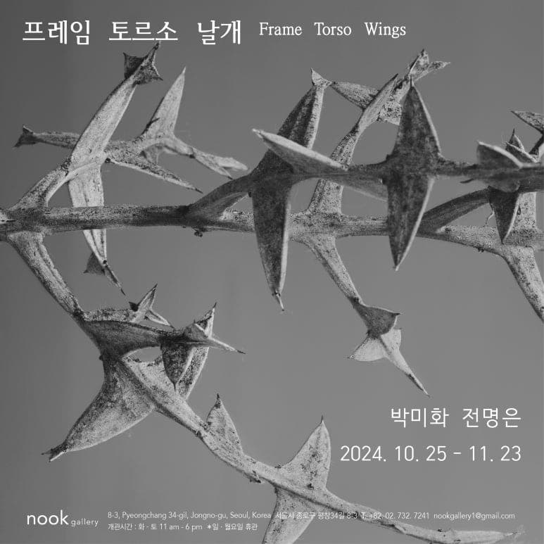 박미화, 전명은: 프레임 토르소 날개 Frame Torso Wings 1