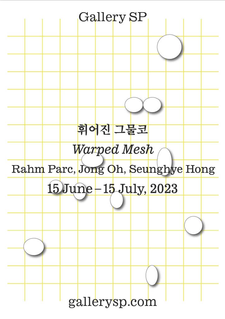휘어진 그물코 Warped Mesh 1