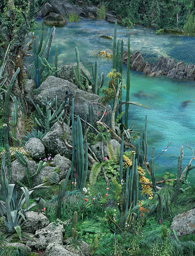 원성원, 자라난 돌, c-print, 170x130cm, 2025