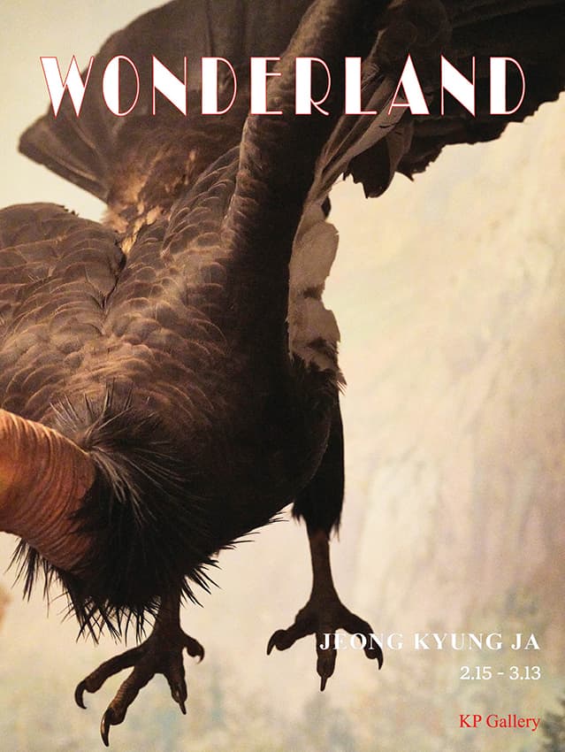정경자 개인전: WONDERLAND 1