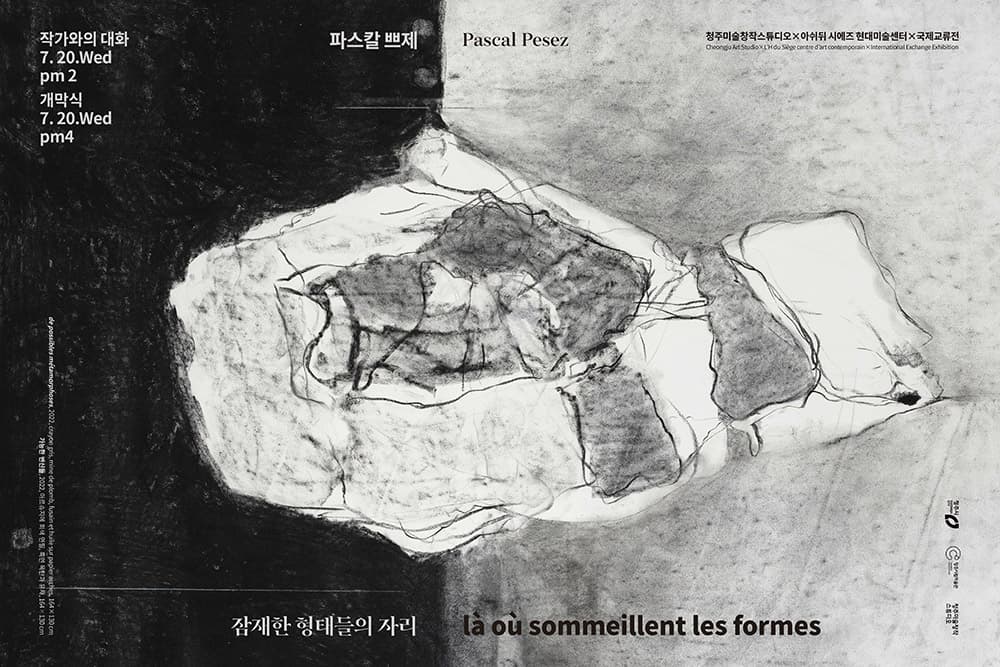 파스칼 쁘제 개인전: 잠재한 형태들의 자리 Pascal Pesez: là où sommeillent les formes 1