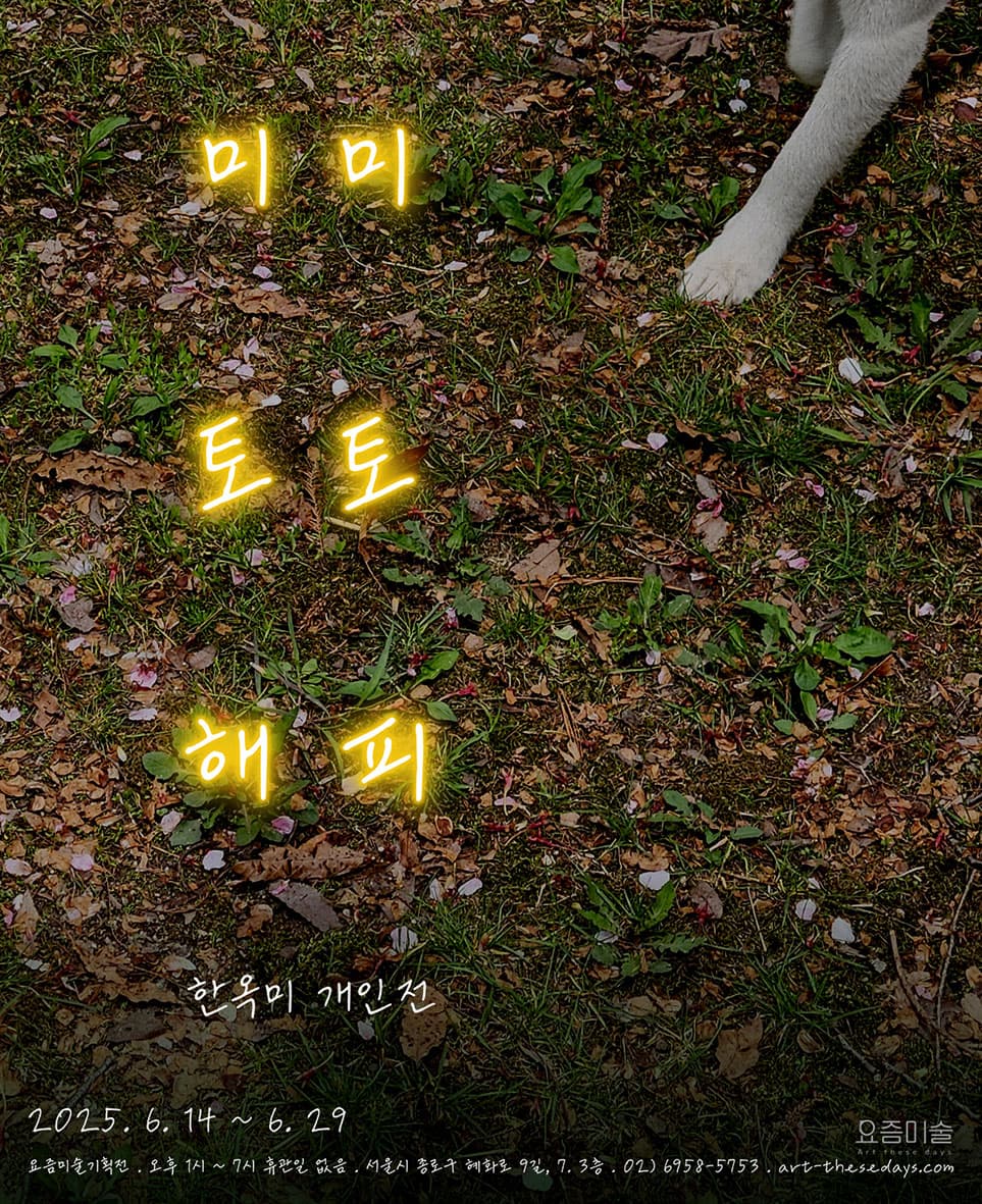 한옥미 개인전: 미미 토토 해피 1