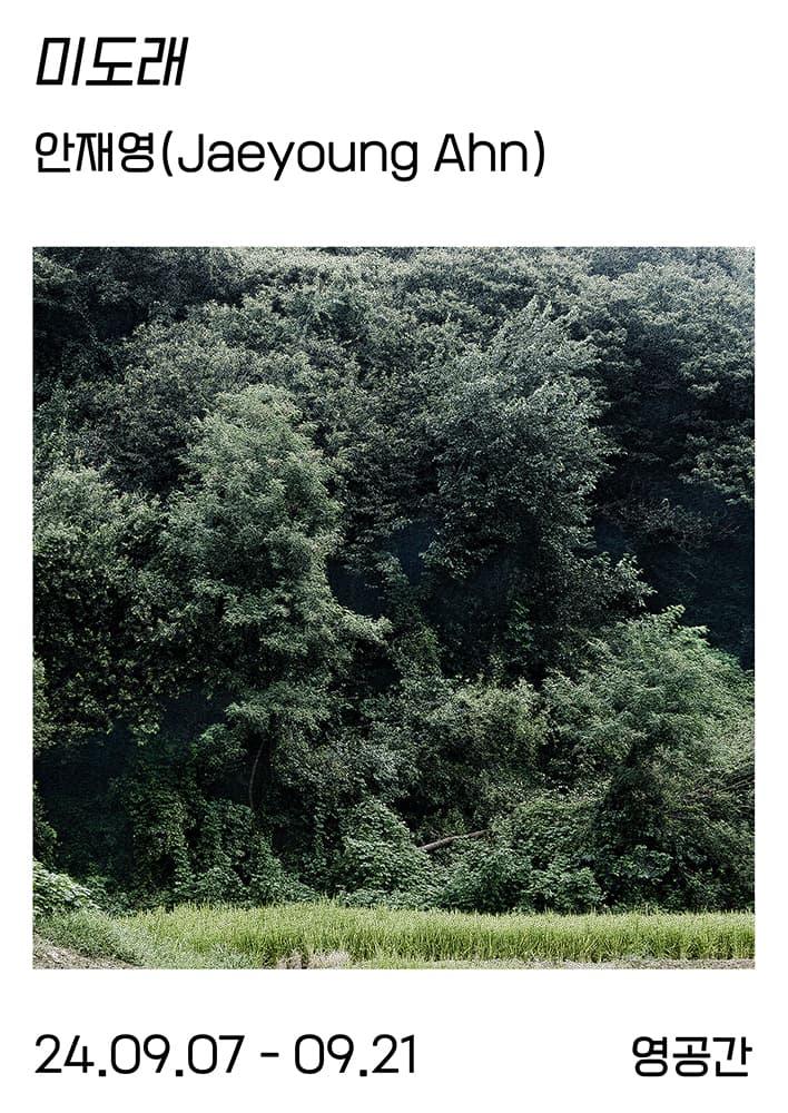 안재영 개인전: 미도래 1