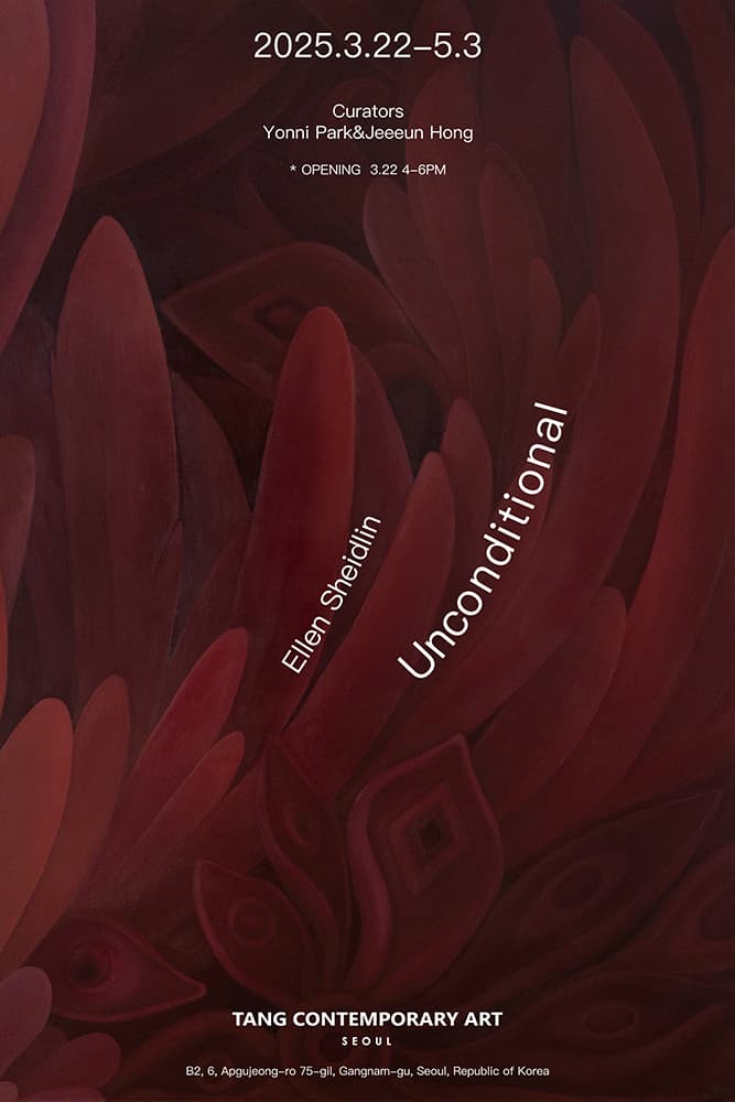 Sheidlin 개인전: Unconditional 1
