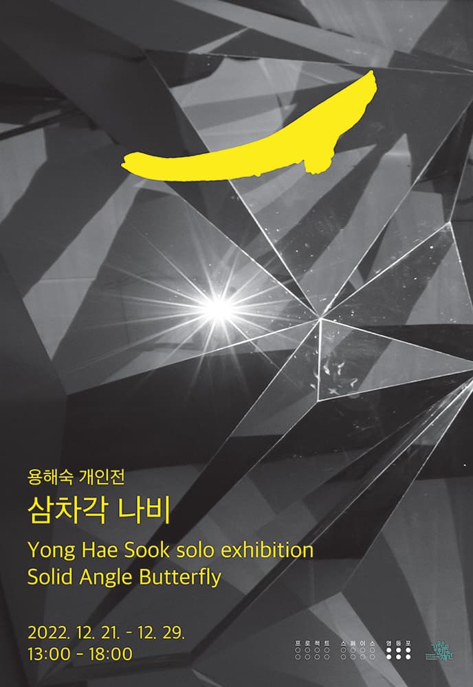 용해숙 개인전: 삼차각 나비 Yong Hae Sook: Solid Angle Butterfly 1